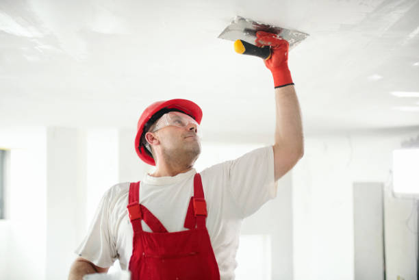  Tallahassee, FL Mold Removal Pros