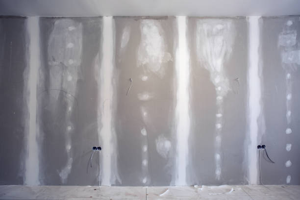 Best Mold Damage Restoration  in Tallahassee, FL